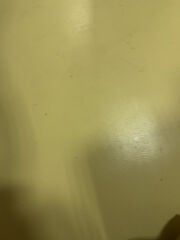 مقاولات