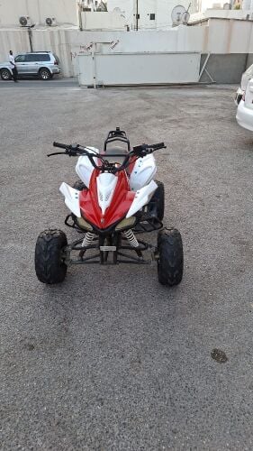 بطبطة