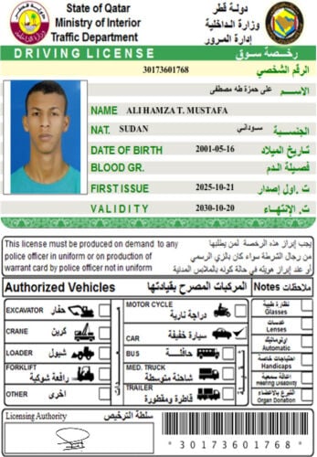 علي حمزه طه 