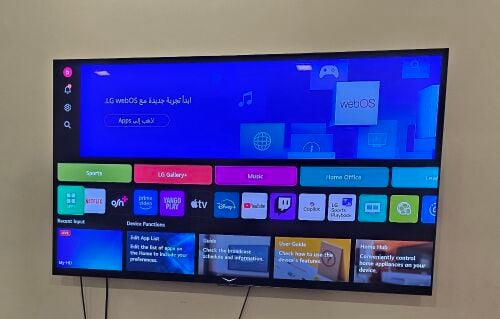 LG 55" OLED TV