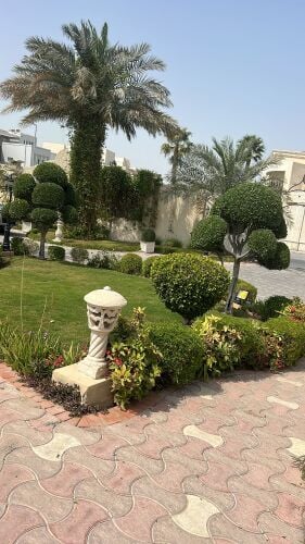 مزارع زراعة وصيانه وترتيب الحدائق