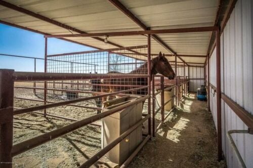Horse stable