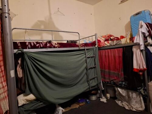 bed