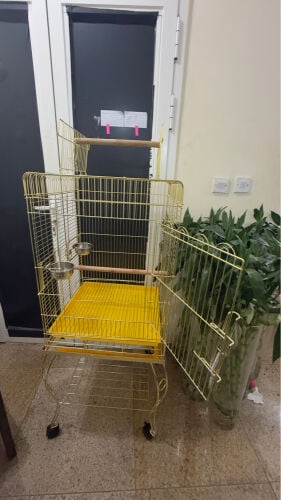 bird cage 