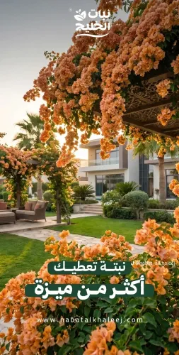مزارع صيانه شهريه للحدائق