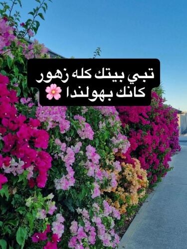 مزارع