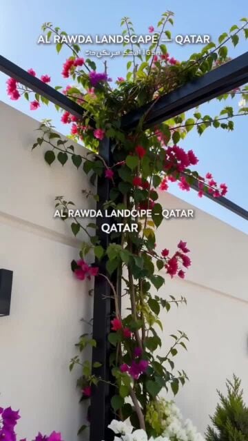 زراعه الفلل والقصور والمجمعات