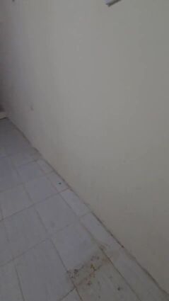 للايجار استور بالخريطيات