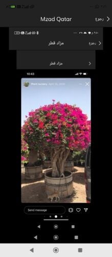 مزارع