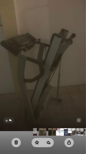 مشايه 