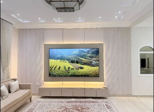 TELEVISION DECOR & CABINET.