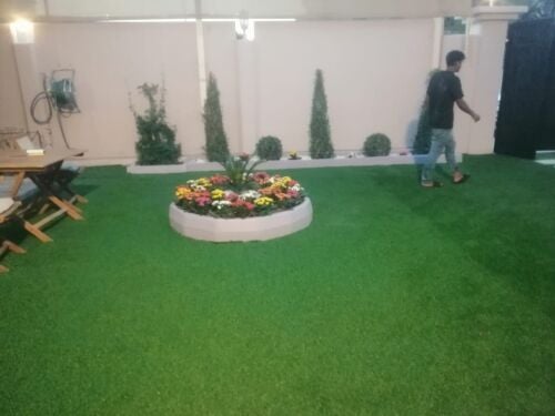 Grass