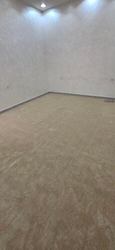 Carpet