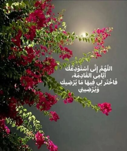 معلمة