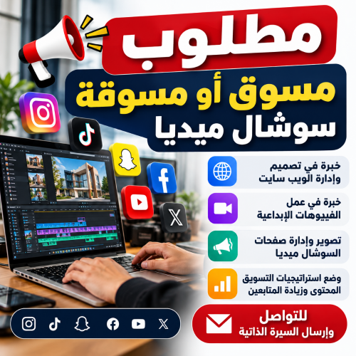 مطلوب مبرمج سوشل ميديا