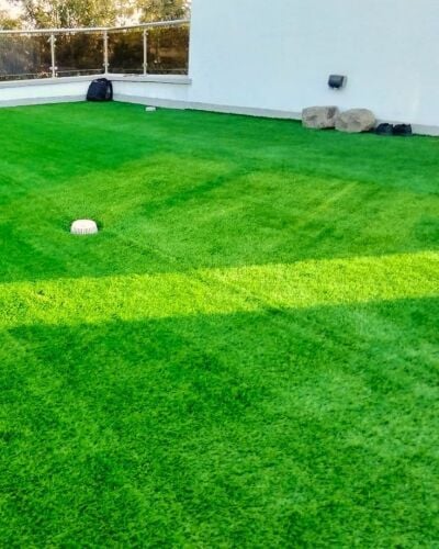 Artificial Grass