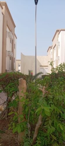 العناية بالمسطحات الخضراء