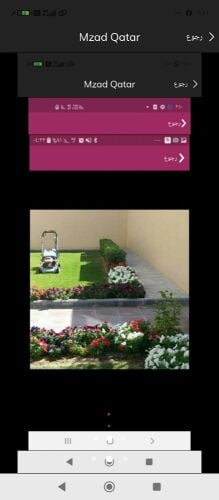 قص العشب وعنايه شهريه للحدائق