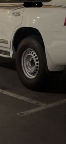 للبيع شنابر اصليه 