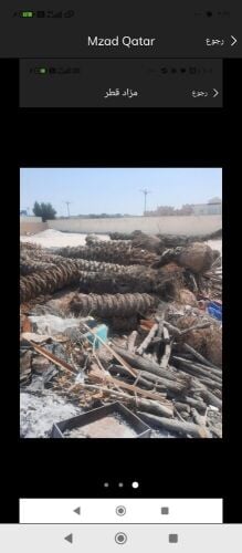 قطع الاشجار ونقل النخيل
