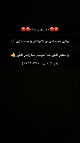 مطلوب
