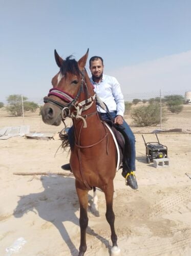 إيهاب الحمزاوي