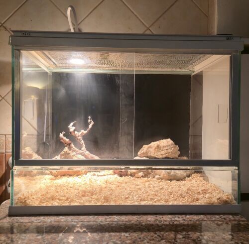 Reptile enclosure only for sale