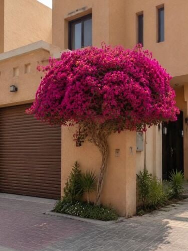 مقطع اشجار