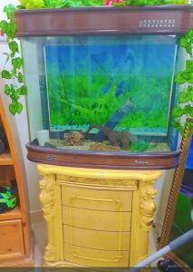 Aquarium with stand