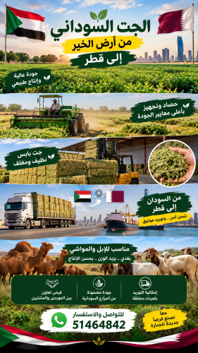جت سوداني