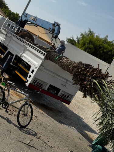 boomtruck crane