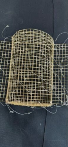 مطلوب