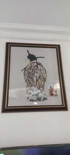 Falcon
