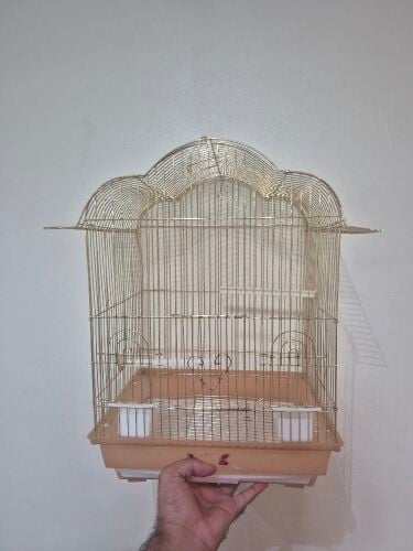Clean cage for sale
