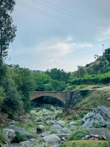 سائق