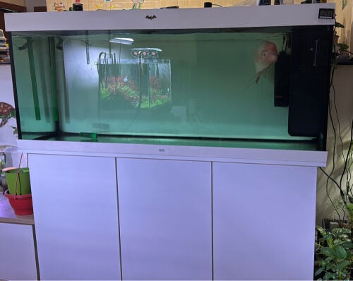 Juwel RIO 450 aquarium for sale