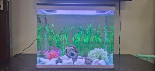 Big Aquarium for sale
