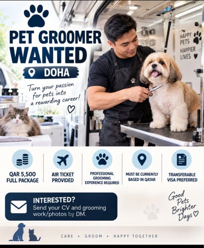 Pet Groomer 