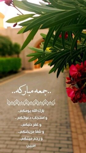 عبد الرحمن الصفار