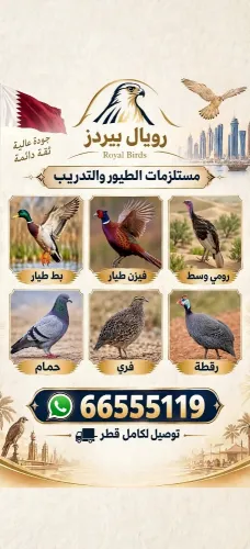 مستلزمات الصقور