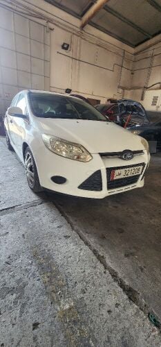 shanfeer .. for sale