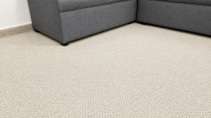 Carpet Neat and Clean