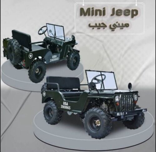 Mini Jeep