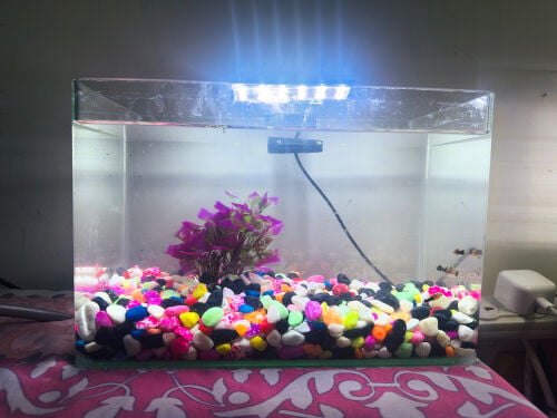 Aquarium (Fish Tank) with Light for