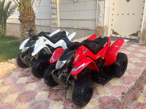 Cobra ATV 50cc engine 