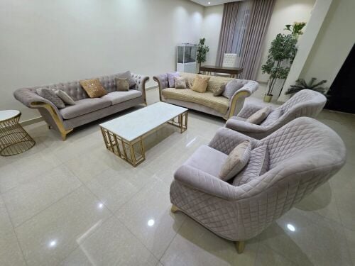 Elegant Living Room Sofa Package