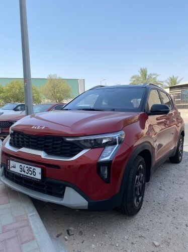 سايق بالسيارة