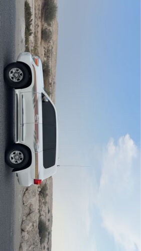 بوالين وديازل للبيع 