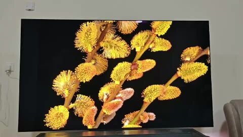 For Sale: LG 77" C4 OLED TV