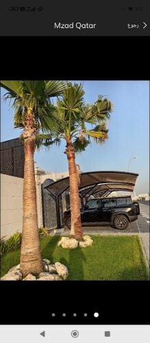 نخيل وشنطونيا خدمات